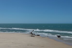 Beach - Beachfront Retreat with Pool and Garden (Caponga)