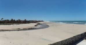A beach with a curved shoreline, a stone wall, and palm trees.