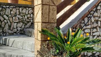 Detalle del exterior