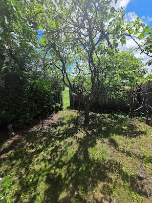 A tree-lined pathway with a fence and a grassy area. - Bright & Cozy 2-bedroom Main Floor Suite (Brampton)