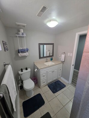 Een badkamer met toilet, wastafel, spiegel, handdoekhouder en douche.