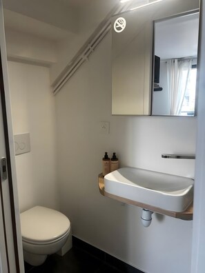 Bathroom - Room – View of the Standing Stones – Terrace & Wi-Fi (Carnac)