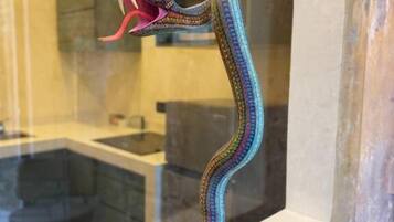 Una escultura de serpiente en un baño con recinto de vidrio.