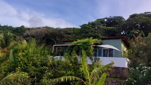 Ein Haus, umgeben von üppigem Grün und blauem Himmel.