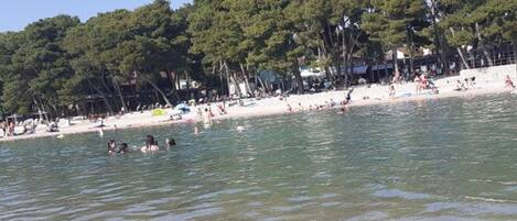 A beach with people swimming and sunbathing, surrounded by trees and buildings.