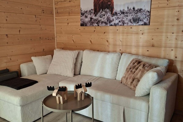 Coin séjour
