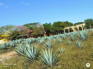Property grounds - Vrbo Property (cancun)