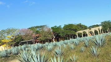 Área da propriedade