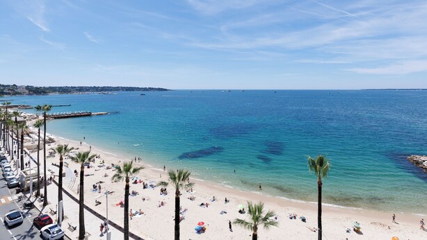 Ein Strand mit klarem, blauen Wasser, Palmen und einem Steg.