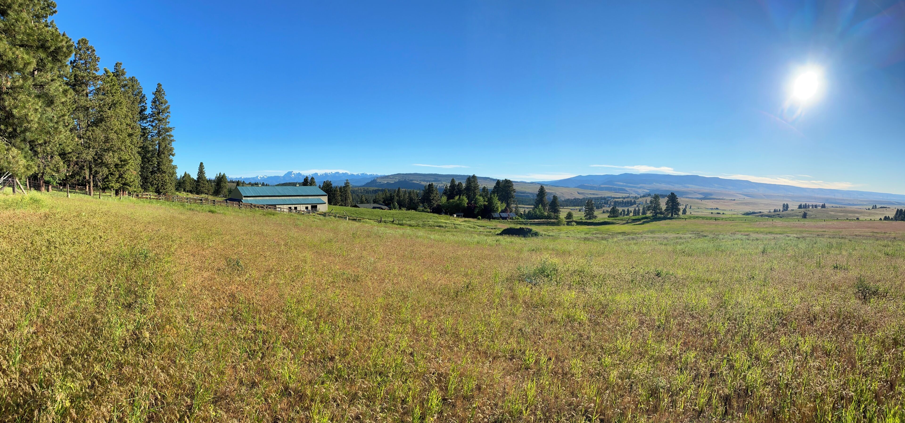 Ländliche Landschaft mit einem Haus, Bäumen und fernen Bergen.