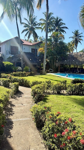 Un sendero que lleva a una piscina rodeada de exuberante vegetación y palmeras.