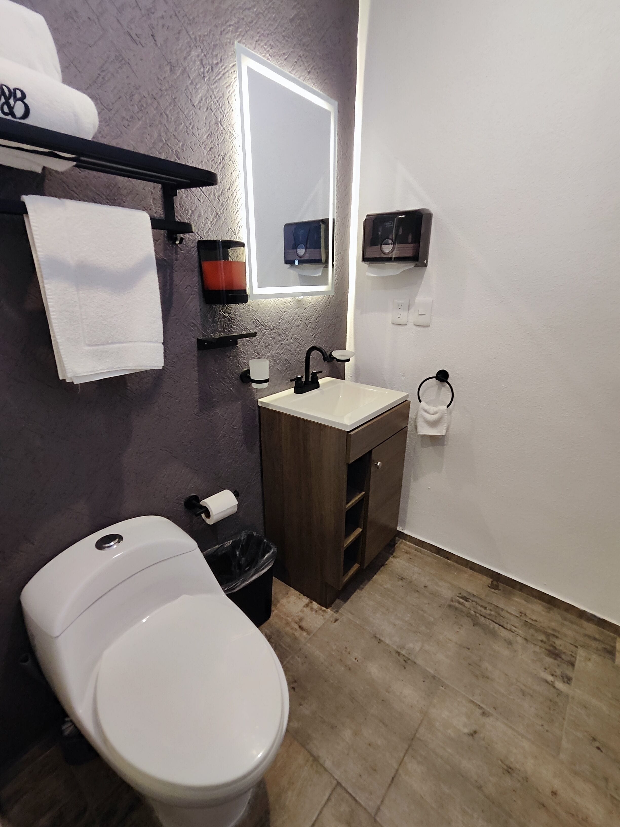 Une salle de bain comprenant des toilettes, un lavabo, un miroir, un porte-serviettes et une poubelle.