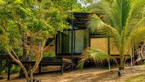 Una estructura moderna de vidrio rodeada de abundante vegetación y un sendero de tierra.