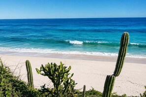 A beach with clear blue water and a sandy shore. There are cacti in the foreground.