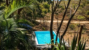 Una piscina rectangular rodeada de vegetación y árboles naturales.