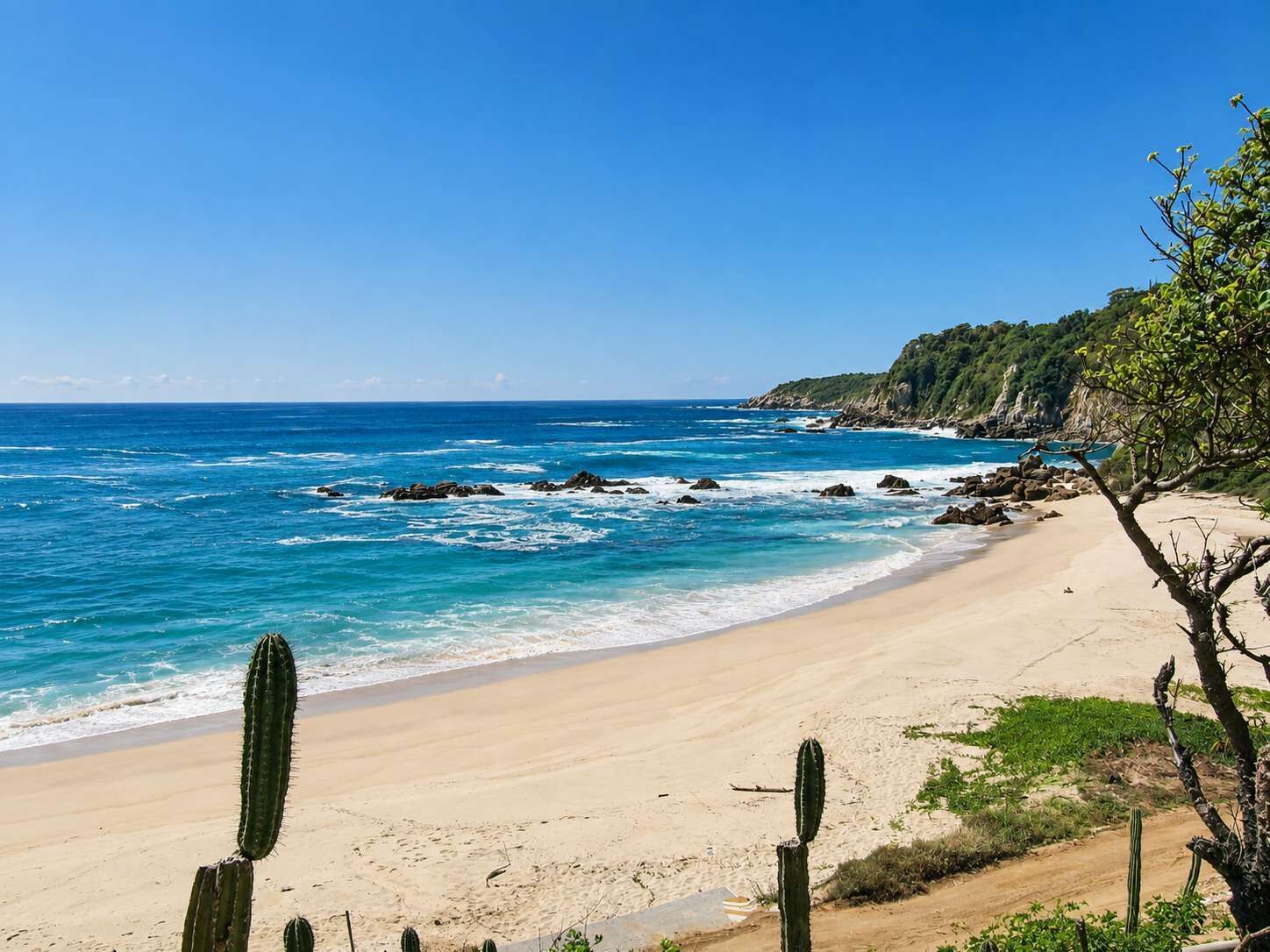 A beach with clear blue waters, sandy shore, and cacti.