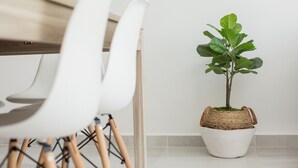 Un coin repas avec des chaises blanches, une table en bois et une plante en pot.