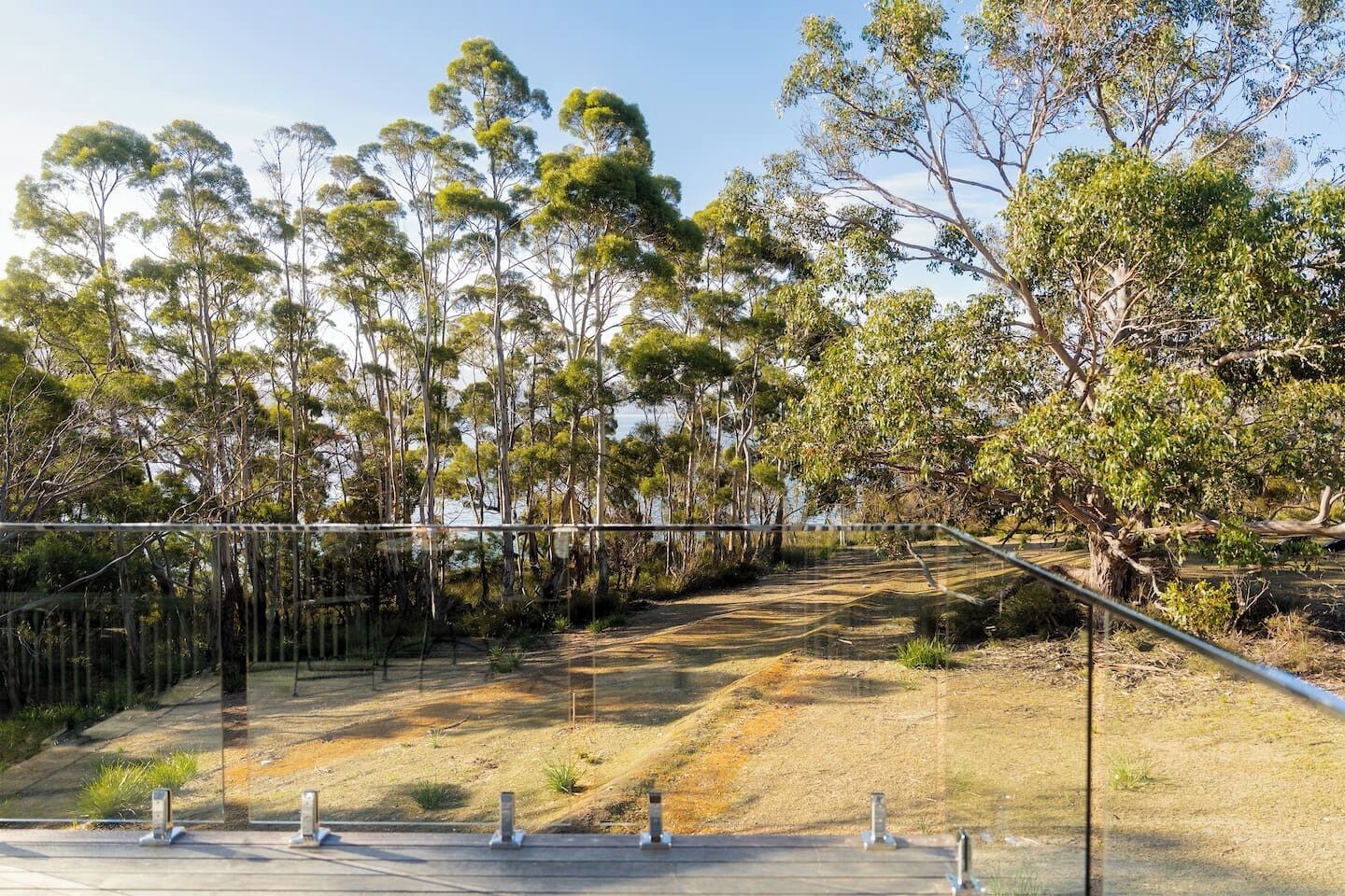 A pathway surrounded by trees and a metal fence.
