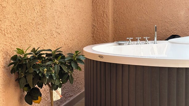 A spa area with a hot tub and a potted plant. - Domus Auri Vatican Jacuzzi Boutique Stay (Roma)