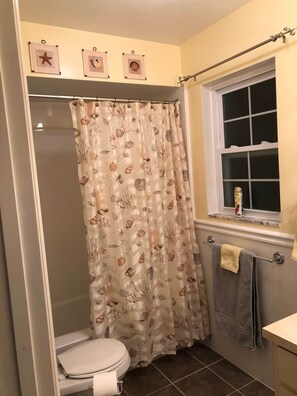 Hair dryer, towels - Pet Friendly home with hot tub and access to Taylor Park (Largo)