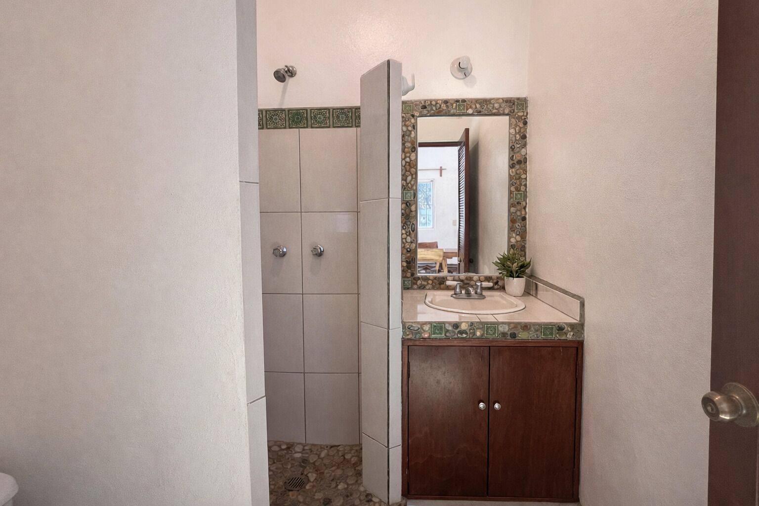 A bathroom with a shower, a sink, a mirror, and a potted plant.