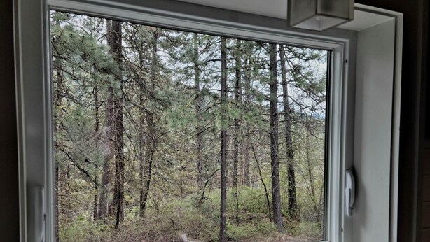 A window with a view of a forest. - The Alley House (Leavenworth)