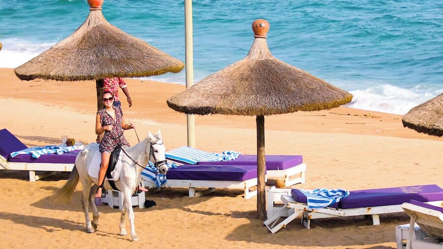 GINFORM at Hotel Petit Brussel