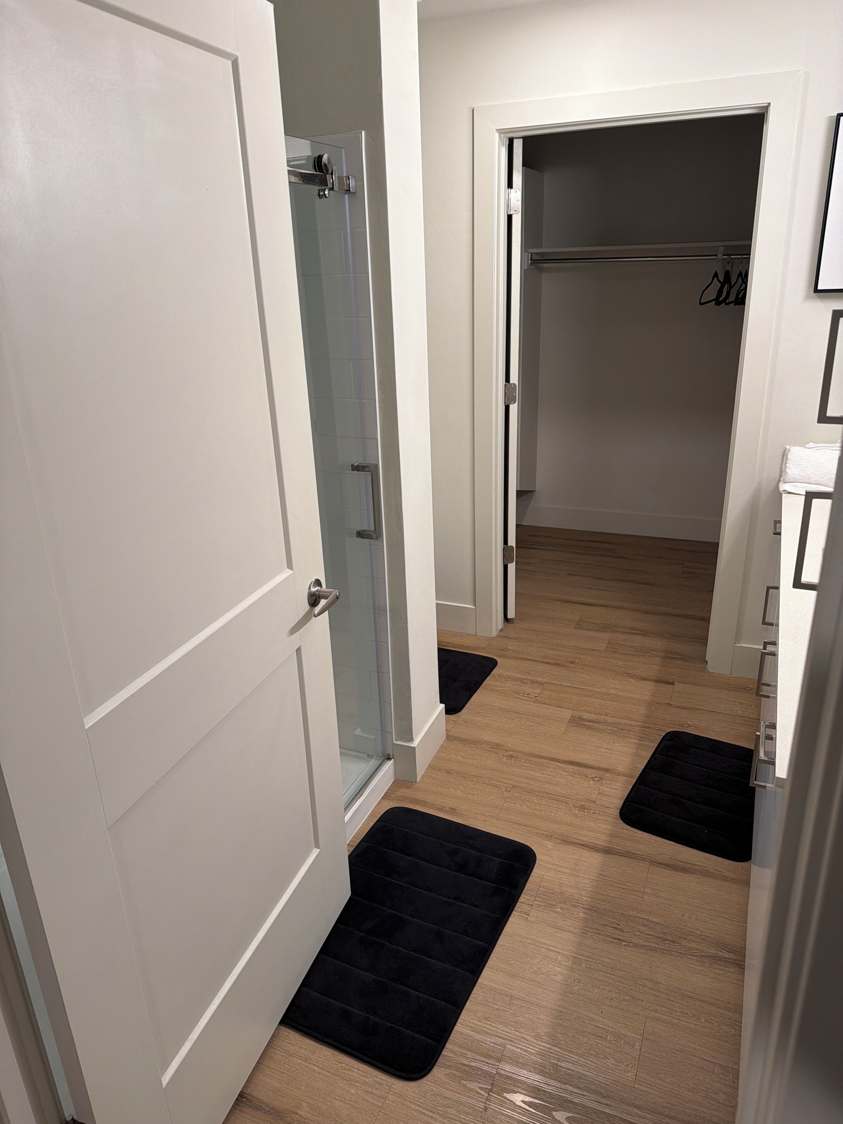 A hallway with a glass shower door, a closet with a coat rack, and two black mats on the floor.