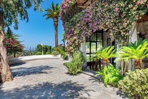 Property grounds - Complesso Villa Le Palme (Forio)