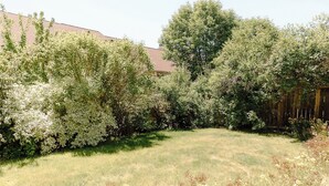 A grassy backyard with a variety of trees and a wooden fence. - The Lighthouse - Entire home in Moscow, Idaho (Moscow)