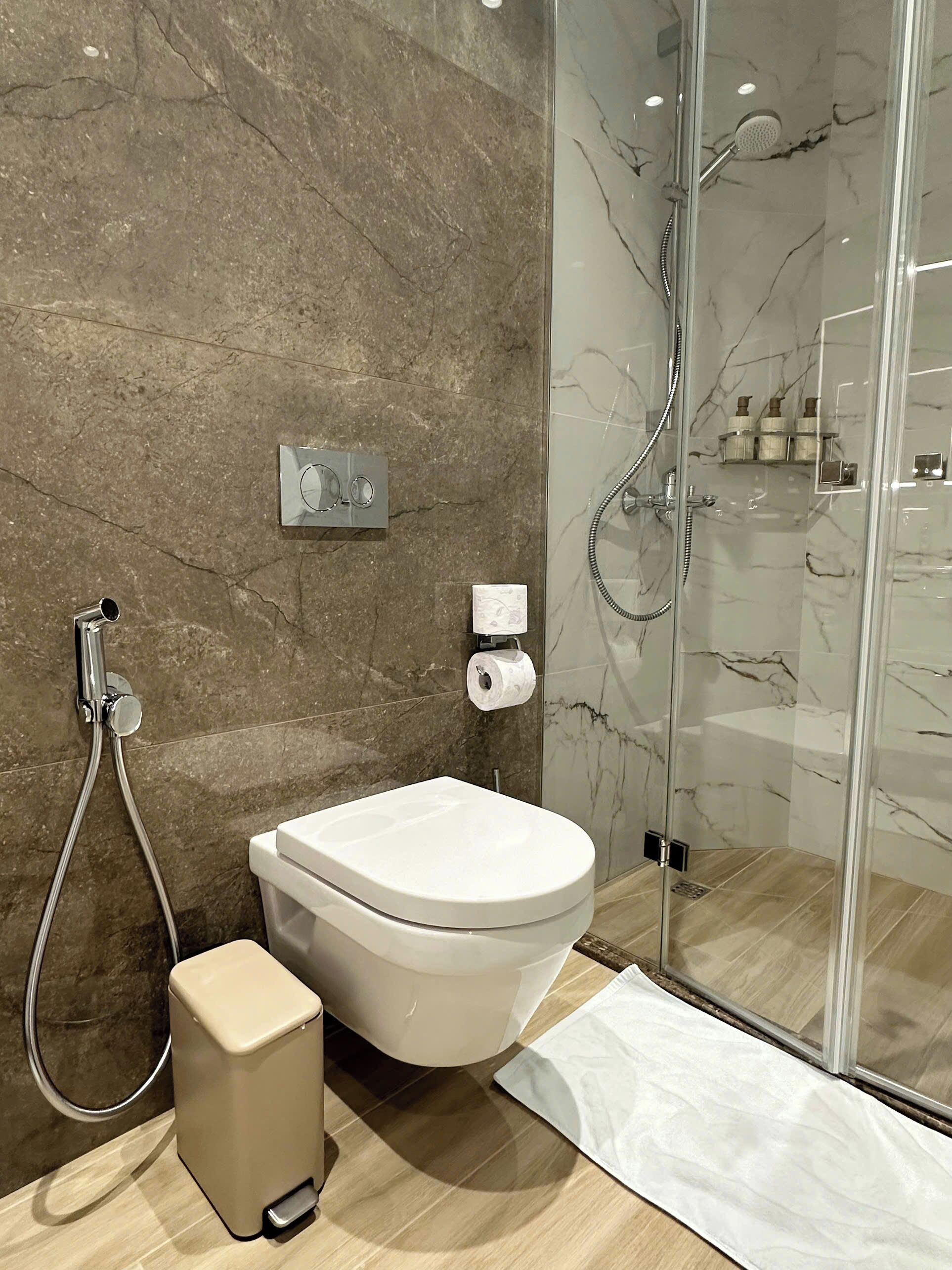Hair dryer, bidet, towels, soap