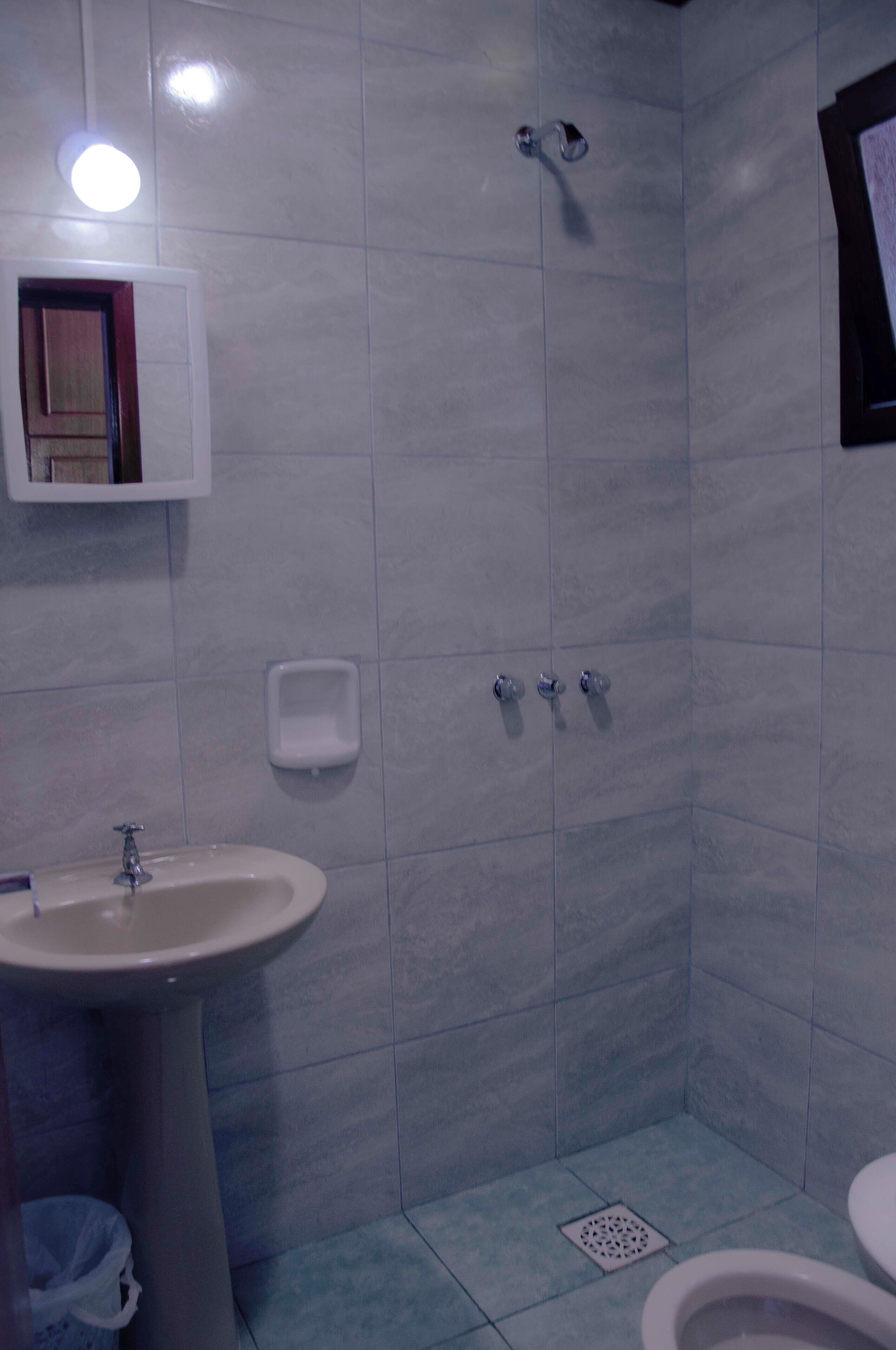 Une salle de bain équipée d’un lavabo, d’un miroir, d’un distributeur de savon et d’un espace douche.