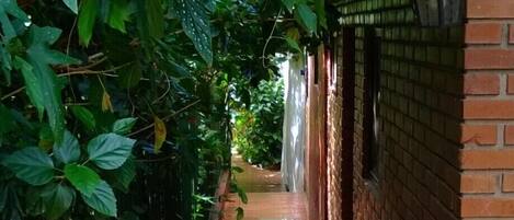 A narrow brick pathway flanked by a metal fence and a brick wall, leading to a building entrance.