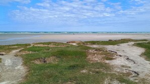 En strand med klar himmel, en sandstrand och några gräsbevuxna områden.