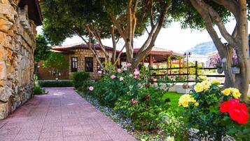 Terrein van de accommodatie