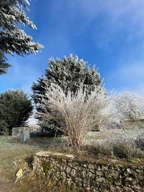 Overnattingsstedets uteområder