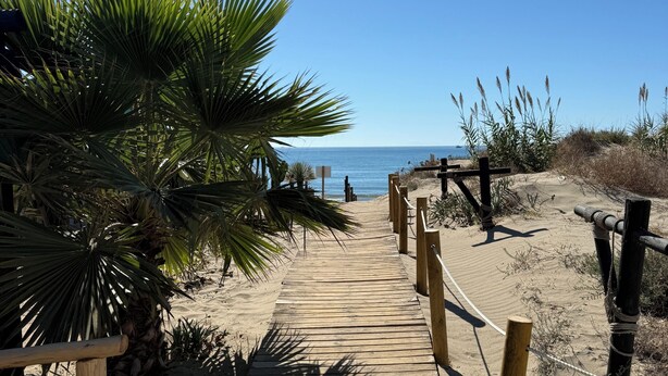 A wooden boardwalk leading to a beach with palm trees and a clear view of the ocean. - Penthouse 2 bed 2 bath Marbella. Breathtaking sea & mountain views. (Ojén)