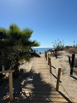 Una passerella in legno conduce a una spiaggia con palme e una vista limpida sull'oceano.