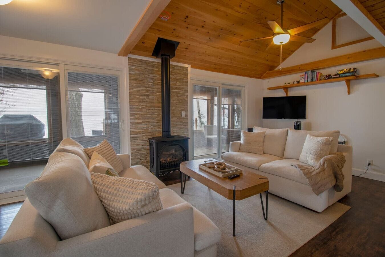 TV, fireplace, books