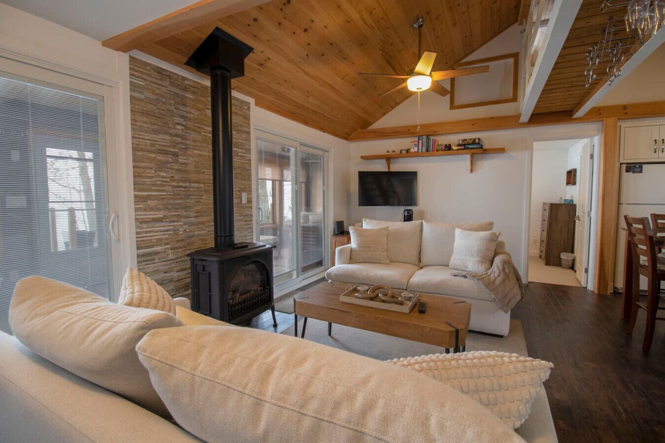 TV, fireplace, books