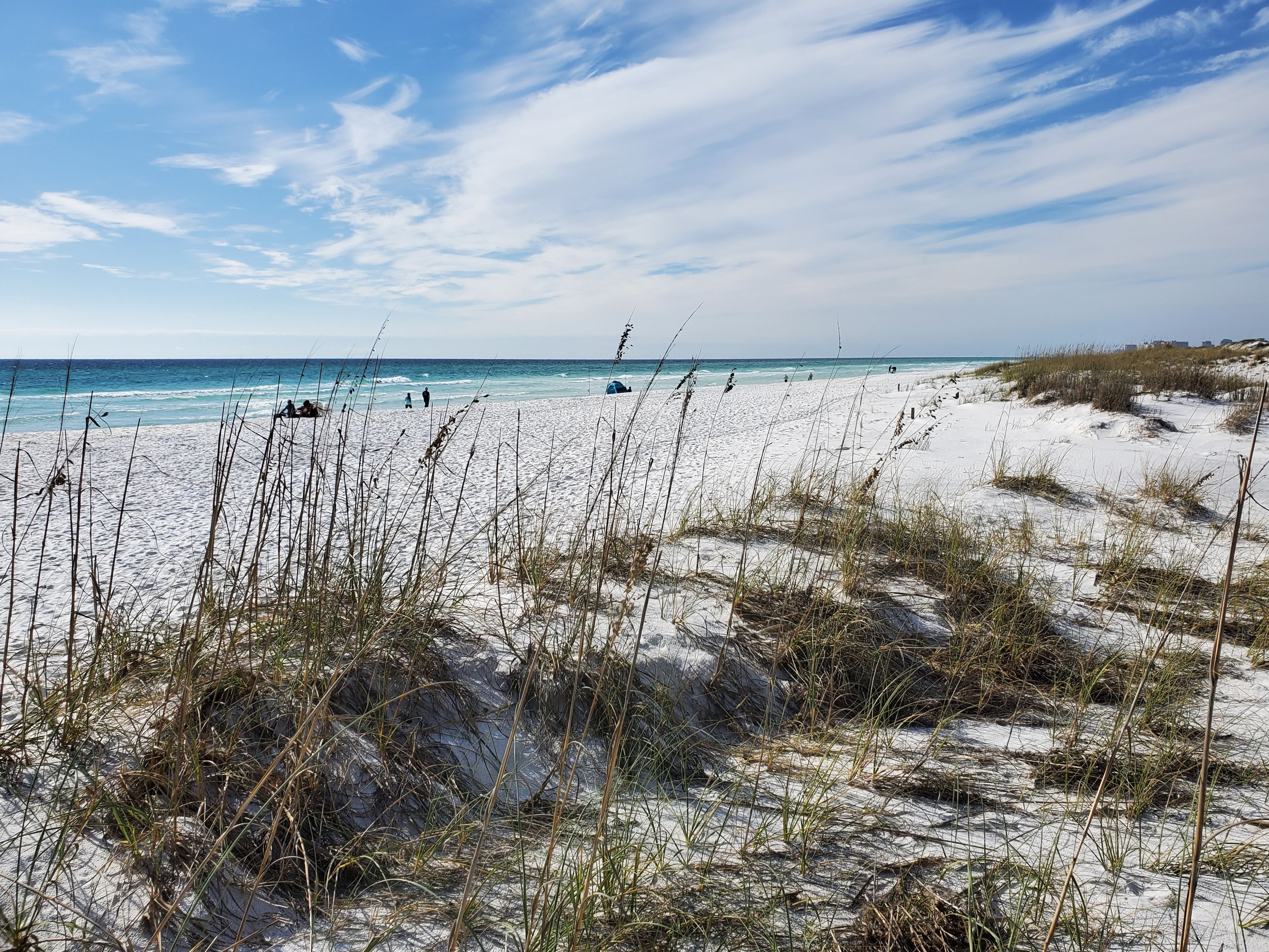 A beach with sand dunes and sparse vegetation.