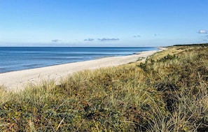Ein Strand mit blauem Himmel, sandigem Ufer und grasbewachsenen Dünen.