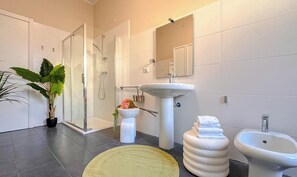 Regadera, secadora de cabello, bidet, toallas 