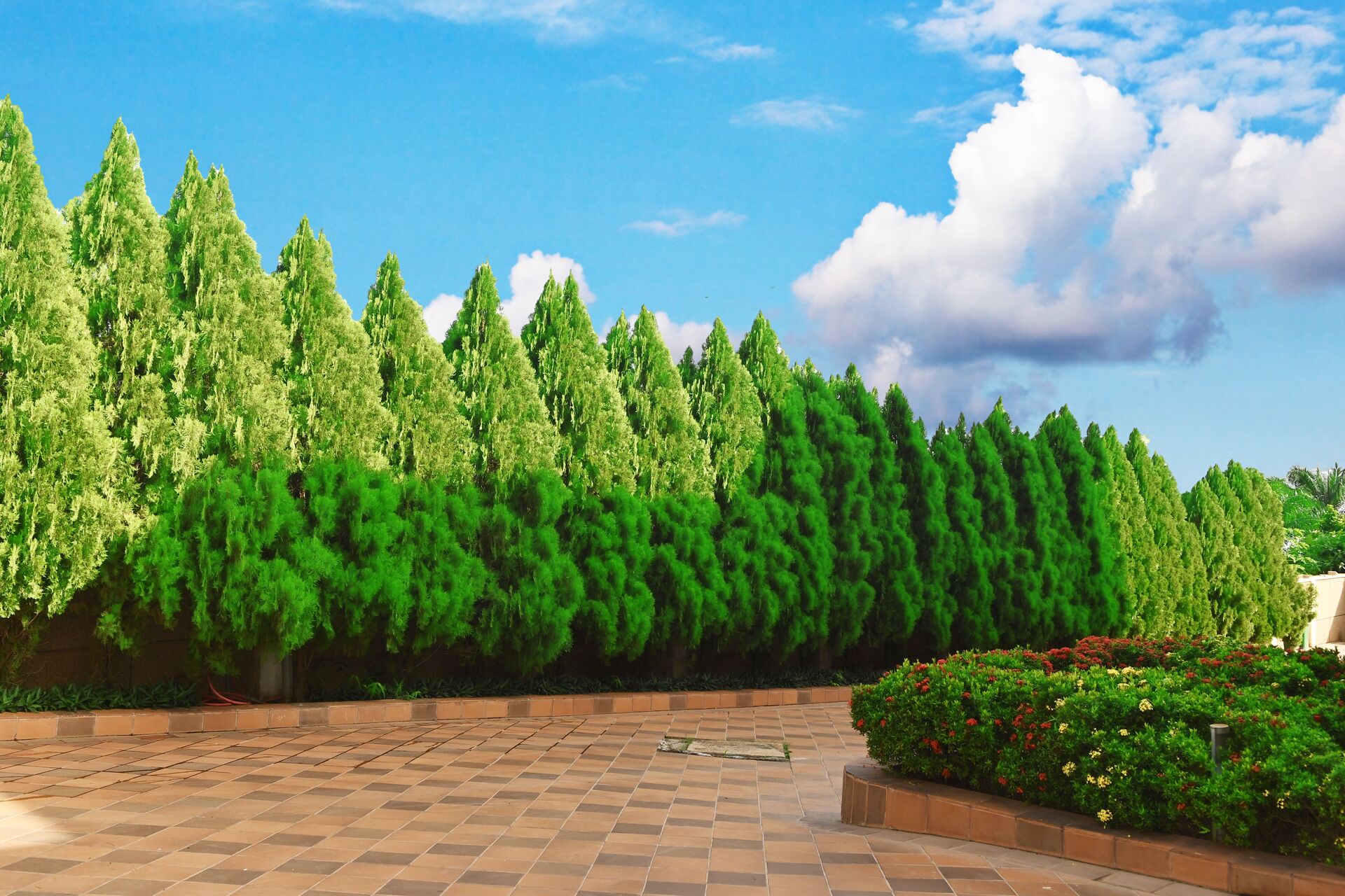 Áreas de la propiedad