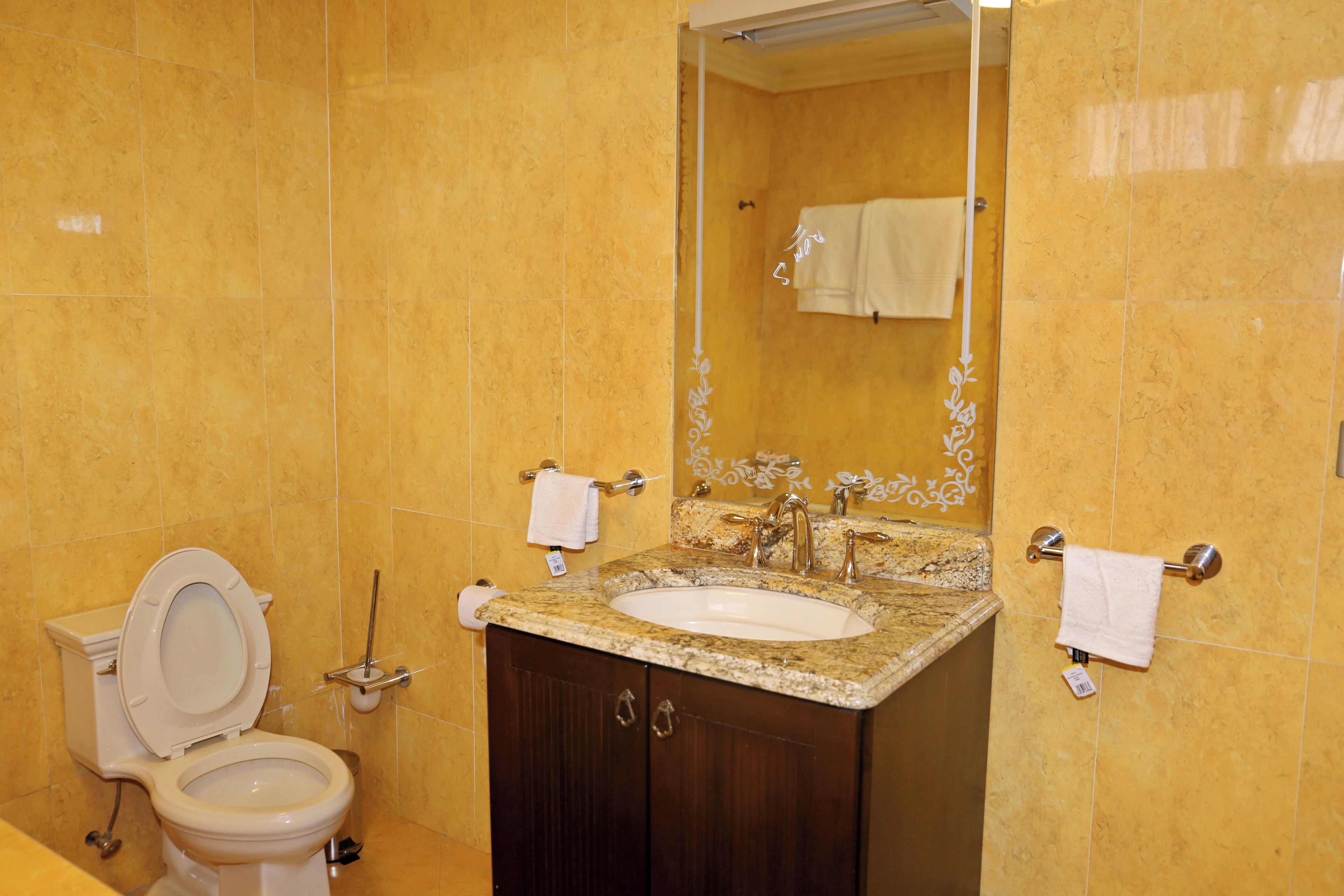 Un baño con inodoro, lavamanos y espejo.