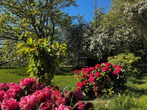A garden with flowering plants and trees. - Holiday idyll at Dejret Klit hot tub (Knebel)