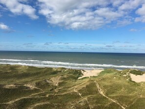 Beach - Charming summer house with a lovely large terrace (Hvide Sande)