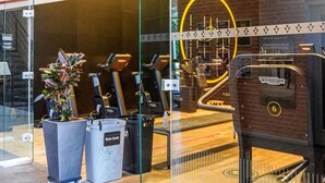 Un gimnasio con equipamiento de ejercicio, una planta en maceta y un separador de vidrio.