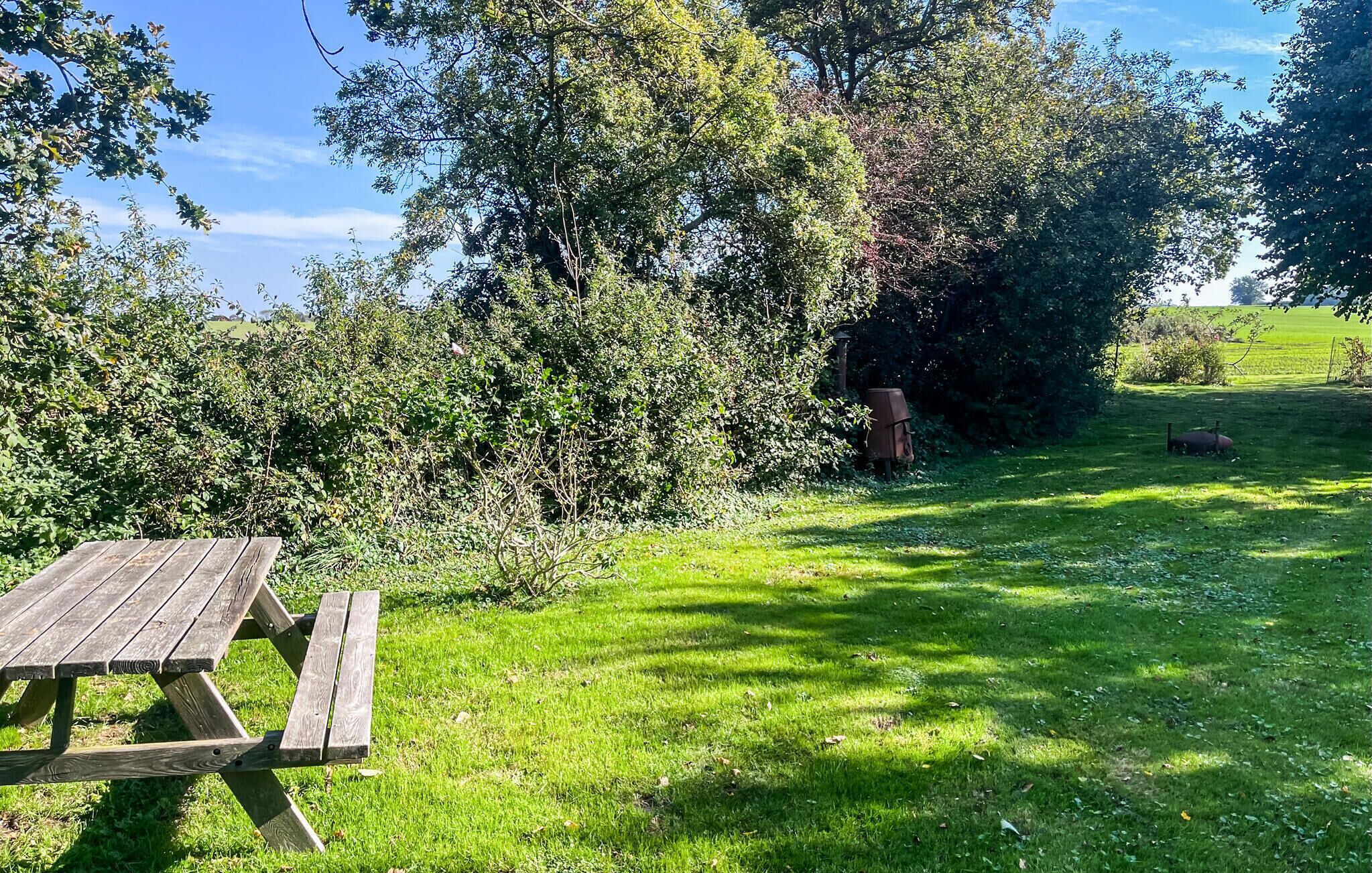 A picnic table in a grassy area with trees and bushes in the background.
