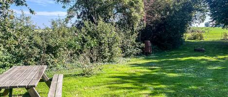 A picnic table in a grassy area with trees and bushes in the background.